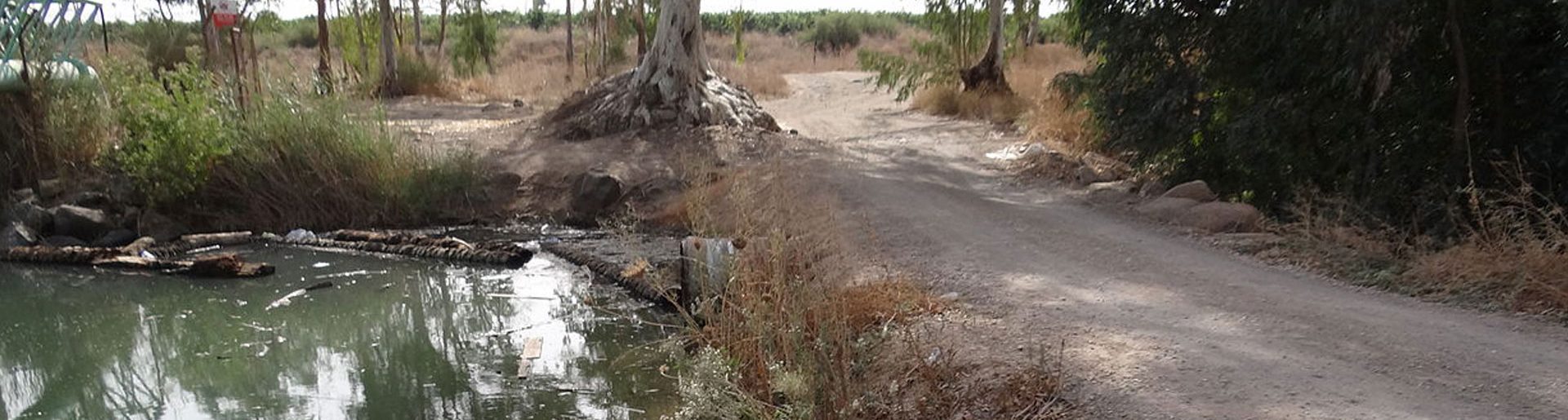 חברת אובל שכר אלומות תמונה רוחבית