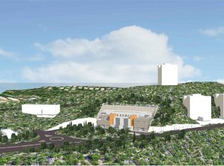 ביכורים הדמיה