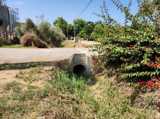 WhatsApp Image 2024-07-22 at 11.12.33 (2)