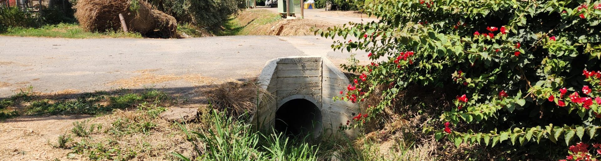 WhatsApp Image 2024-07-22 at 11.12.33 (2)