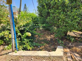 WhatsApp Image 2024-07-22 at 11.12.36 (2)