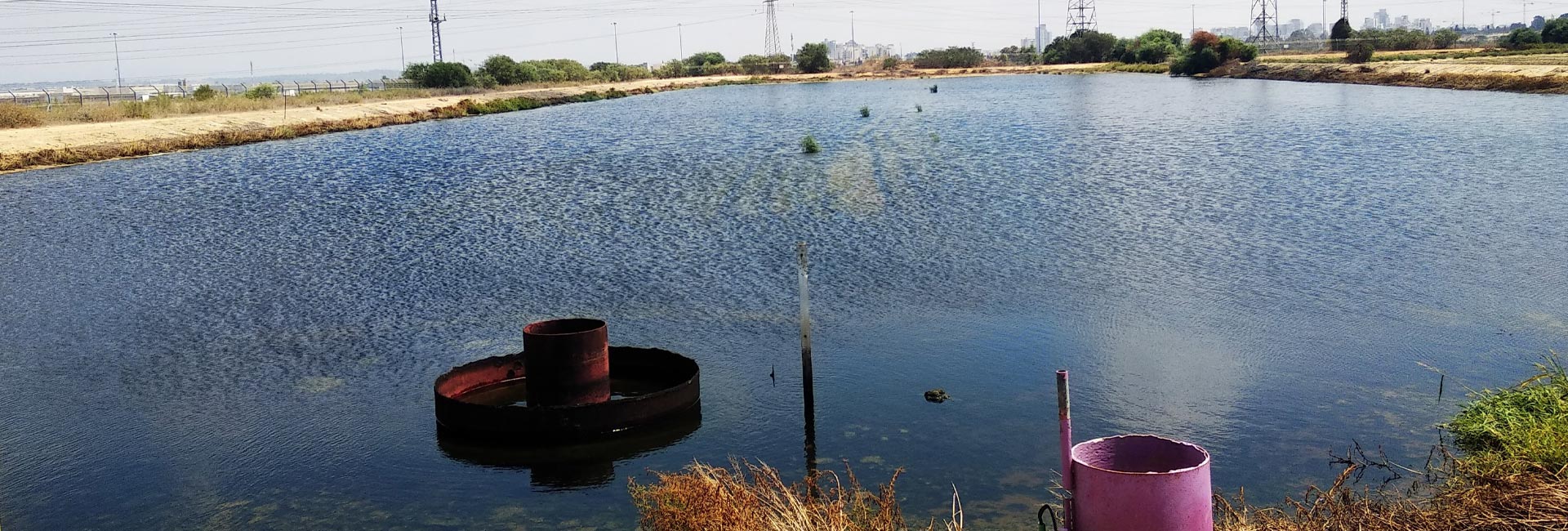 חברת אובל פרויקט יבנה תמונה רוחבית