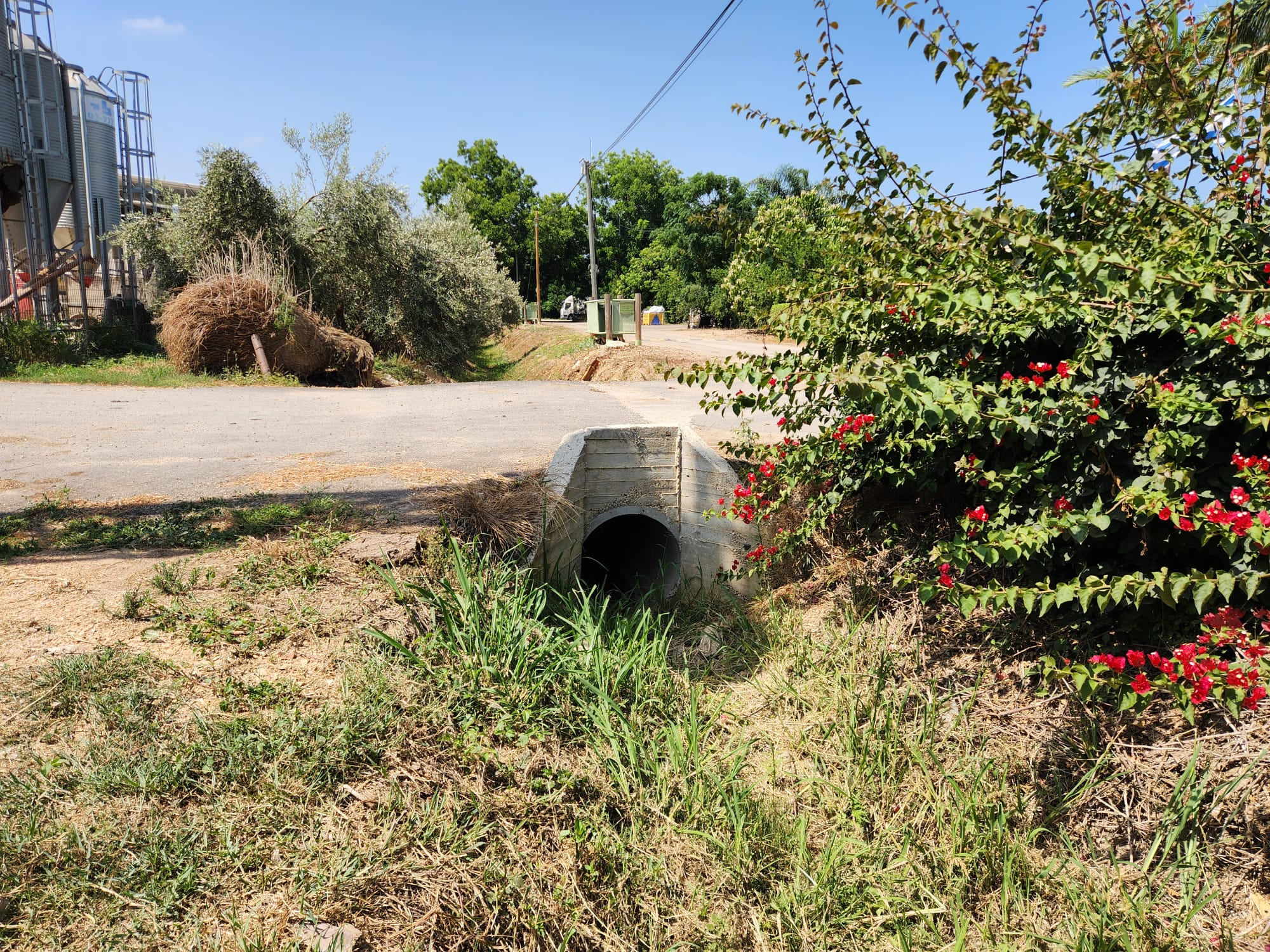 WhatsApp Image 2024-07-22 at 11.12.33 (2)